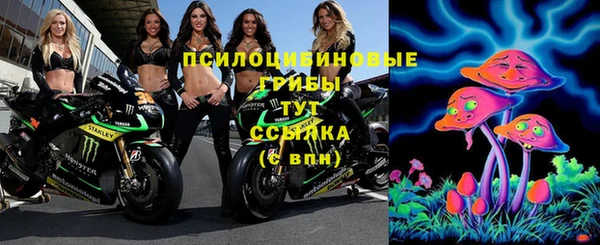 соль ск Абаза