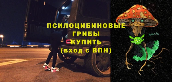 соль ск Абаза