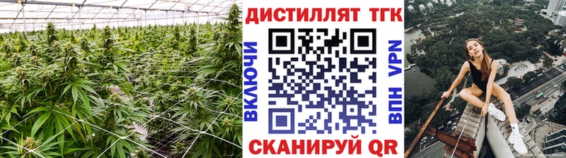 ТГК гашишное масло  Великий Новгород 